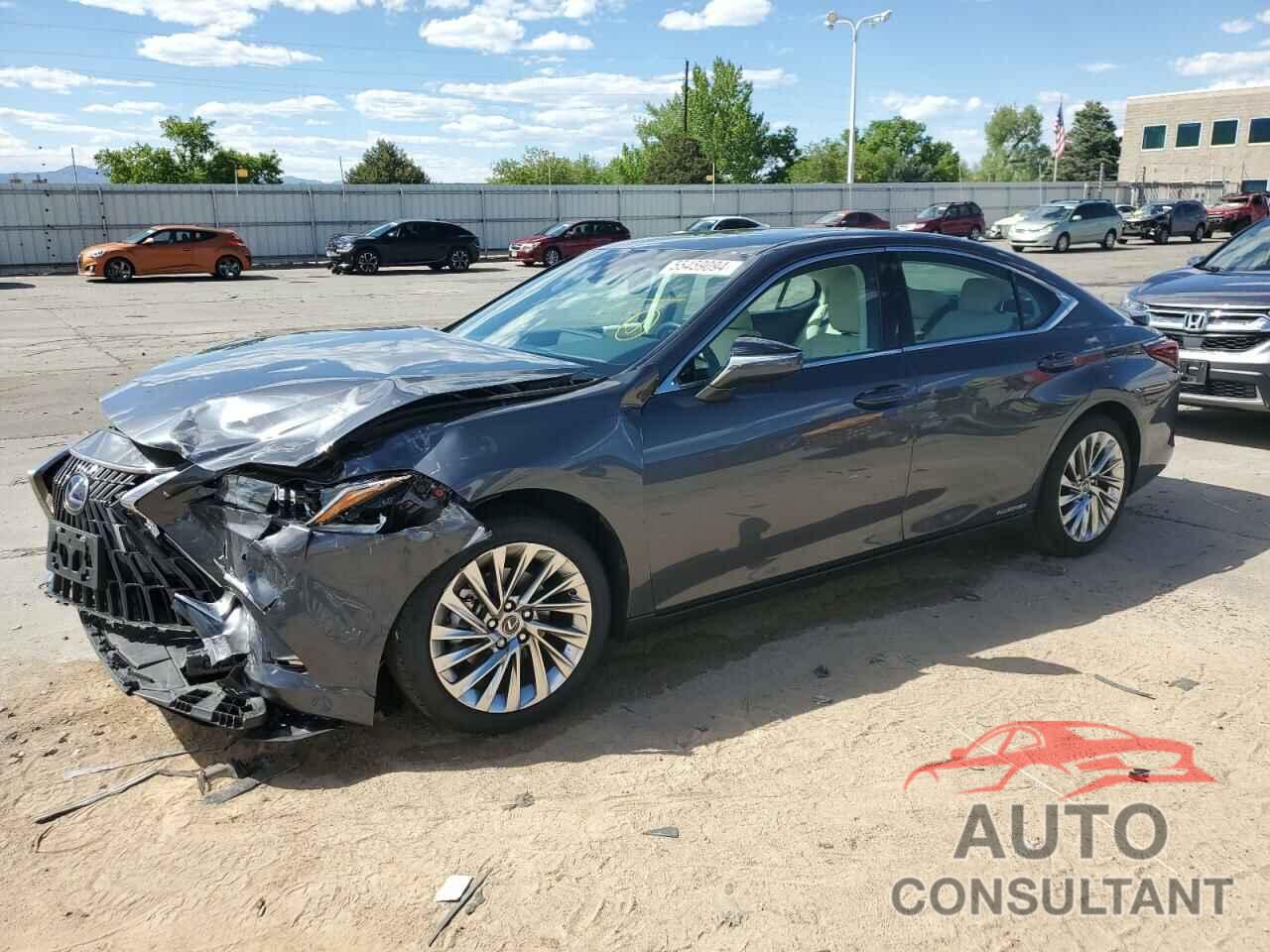 LEXUS ES300 2022 - 58AEA1C14NU017241