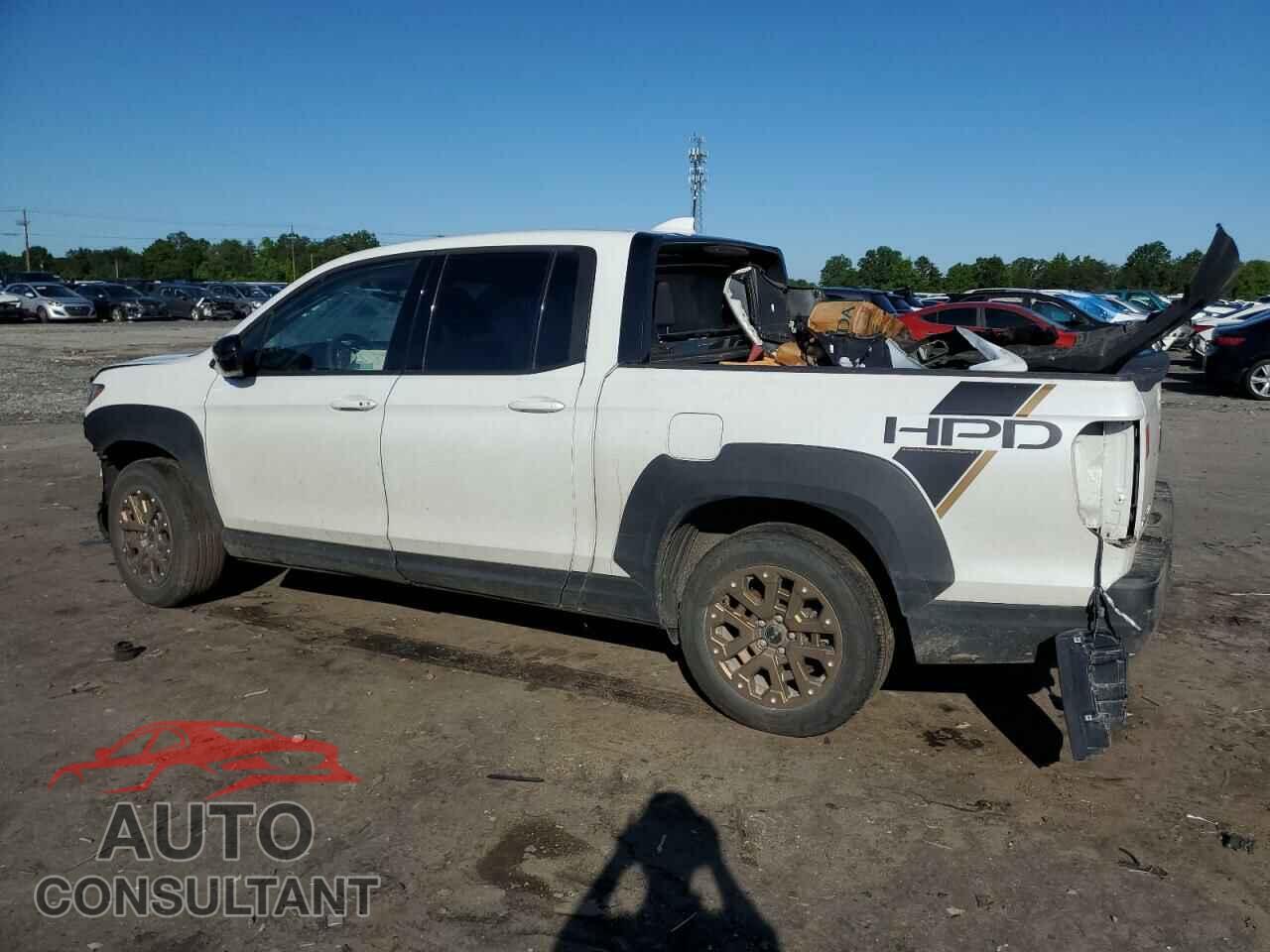 HONDA RIDGELINE 2021 - 5FPYK3F16MB005202