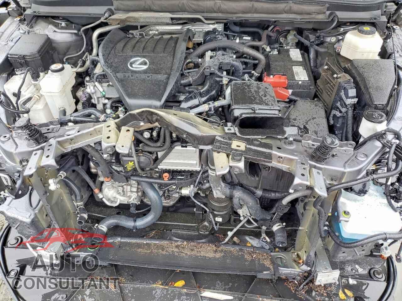 LEXUS RX350 2023 - 2T2BAMCA2PC006816