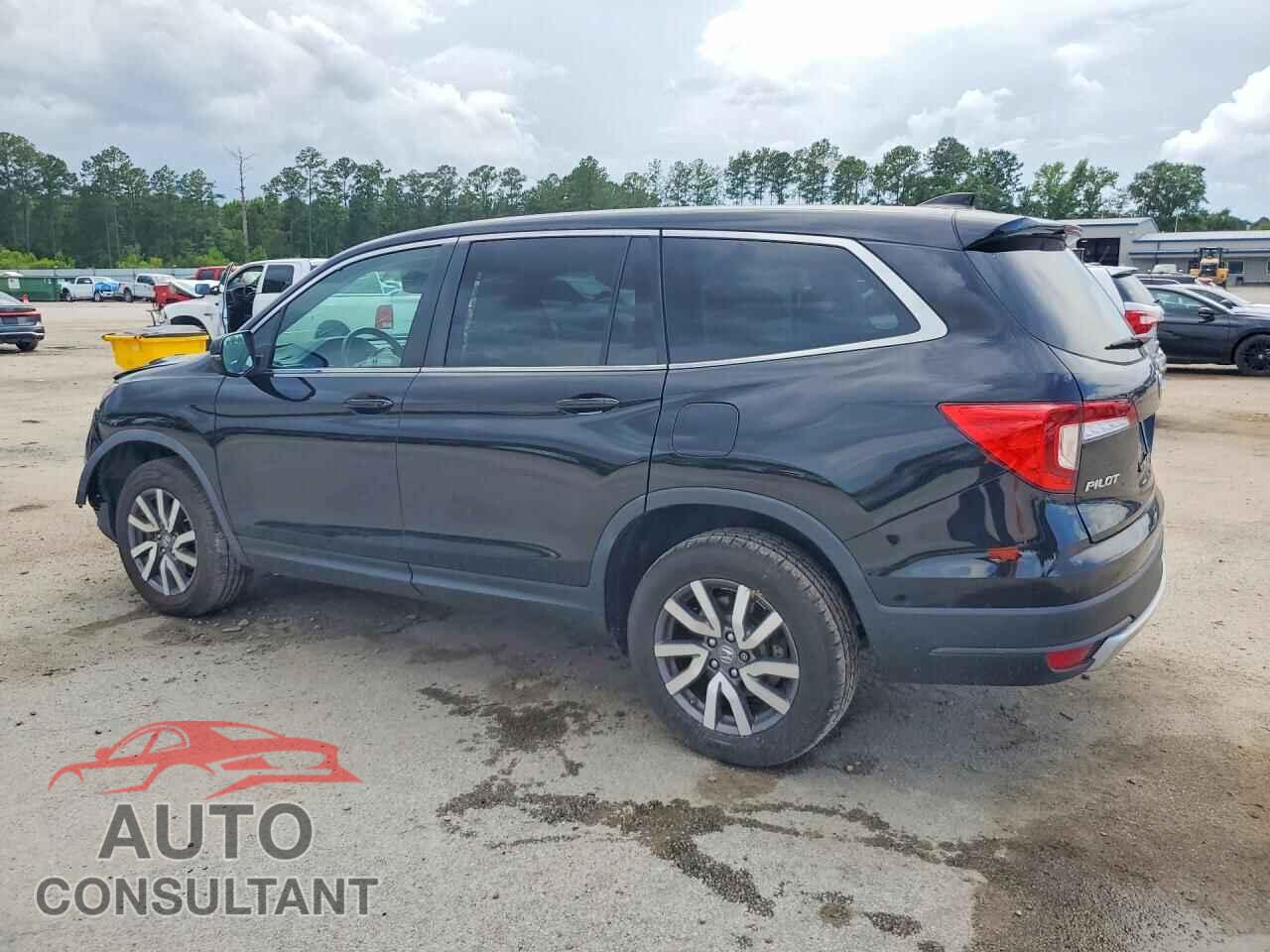 HONDA PILOT 2019 - 5FNYF6H5XKB052194