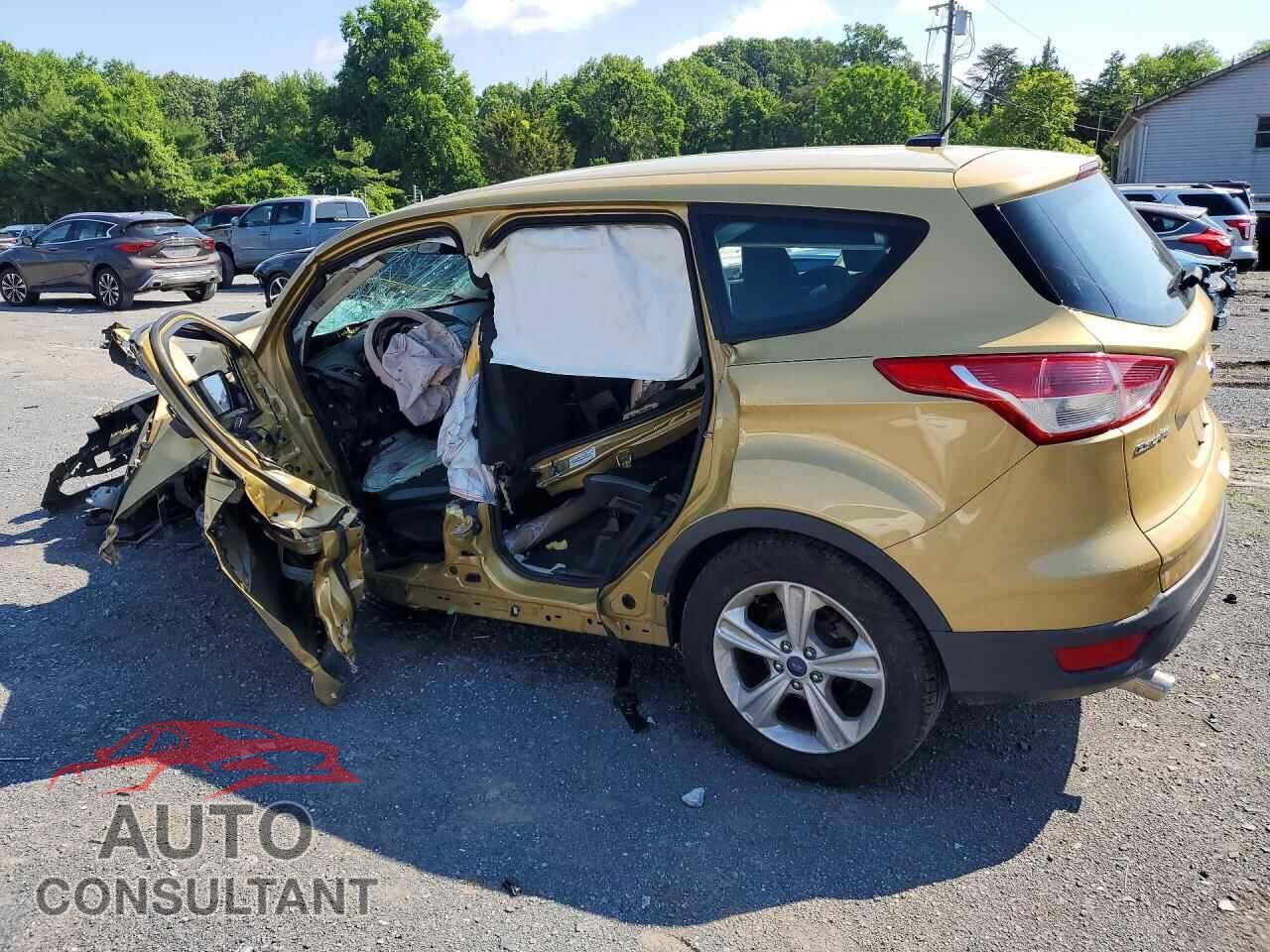 FORD ESCAPE 2014 - 1FMCU0F74EUD69977