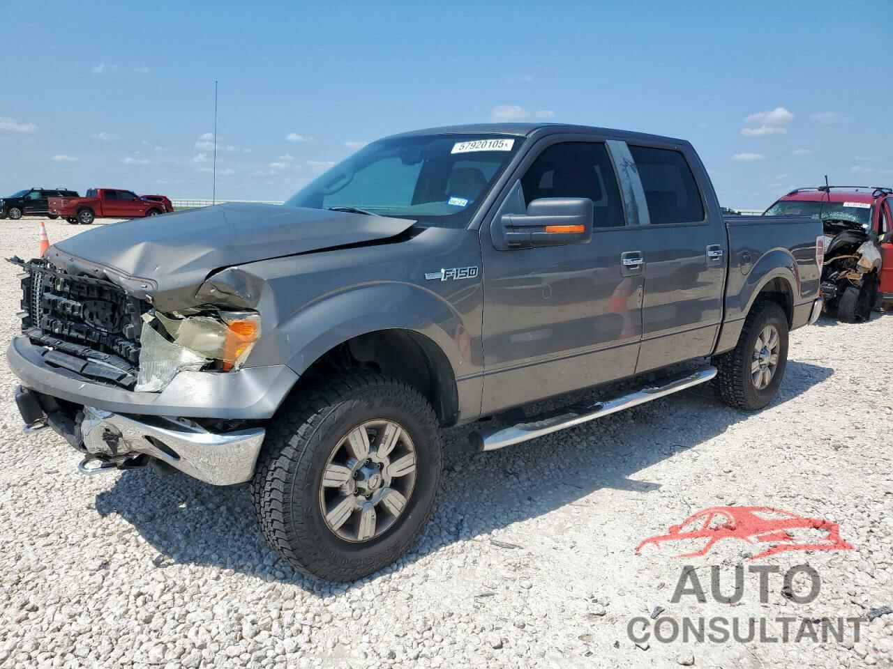 FORD F-150 2009 - 1FTRW148X9FA49647