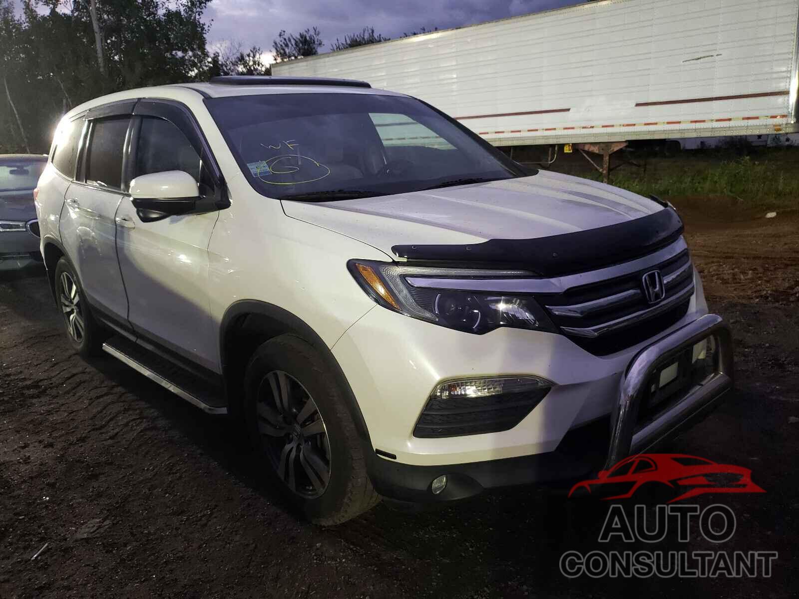 HONDA PILOT 2016 - 5FNYF6H53GB030545