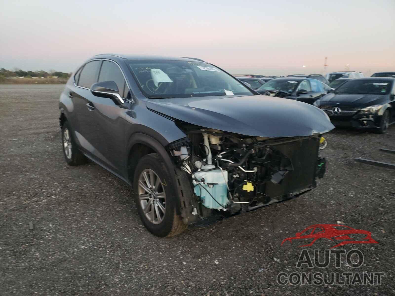 LEXUS NX 2019 - JTJYARBZ7K2131267