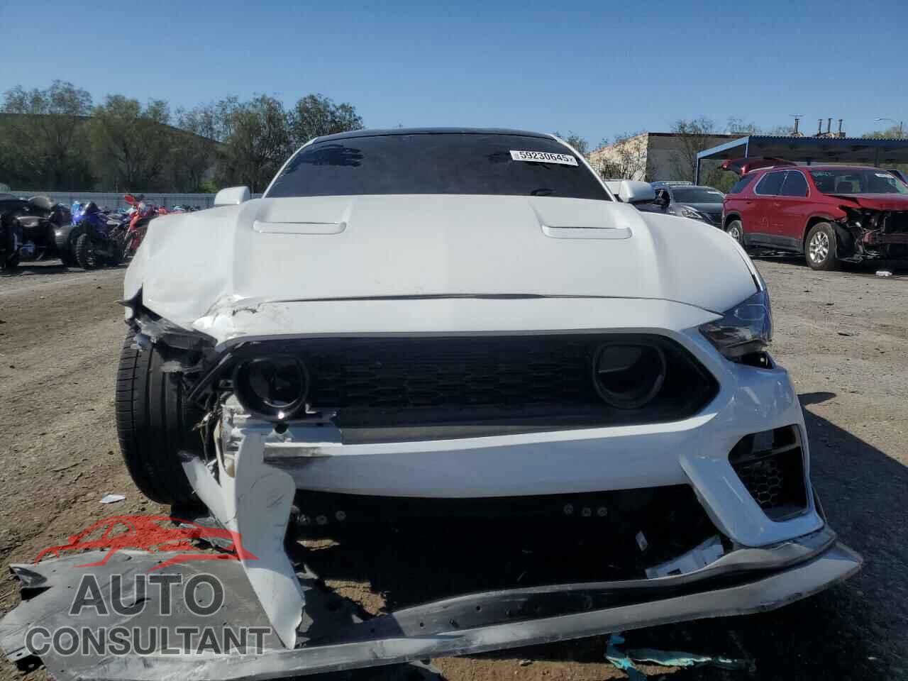 FORD MUSTANG 2019 - 1FA6P8CF3K5106281