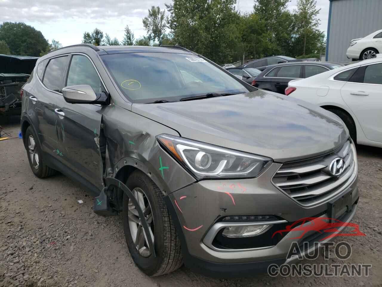 HYUNDAI SANTA FE 2017 - 5NMZUDLB6HH035802