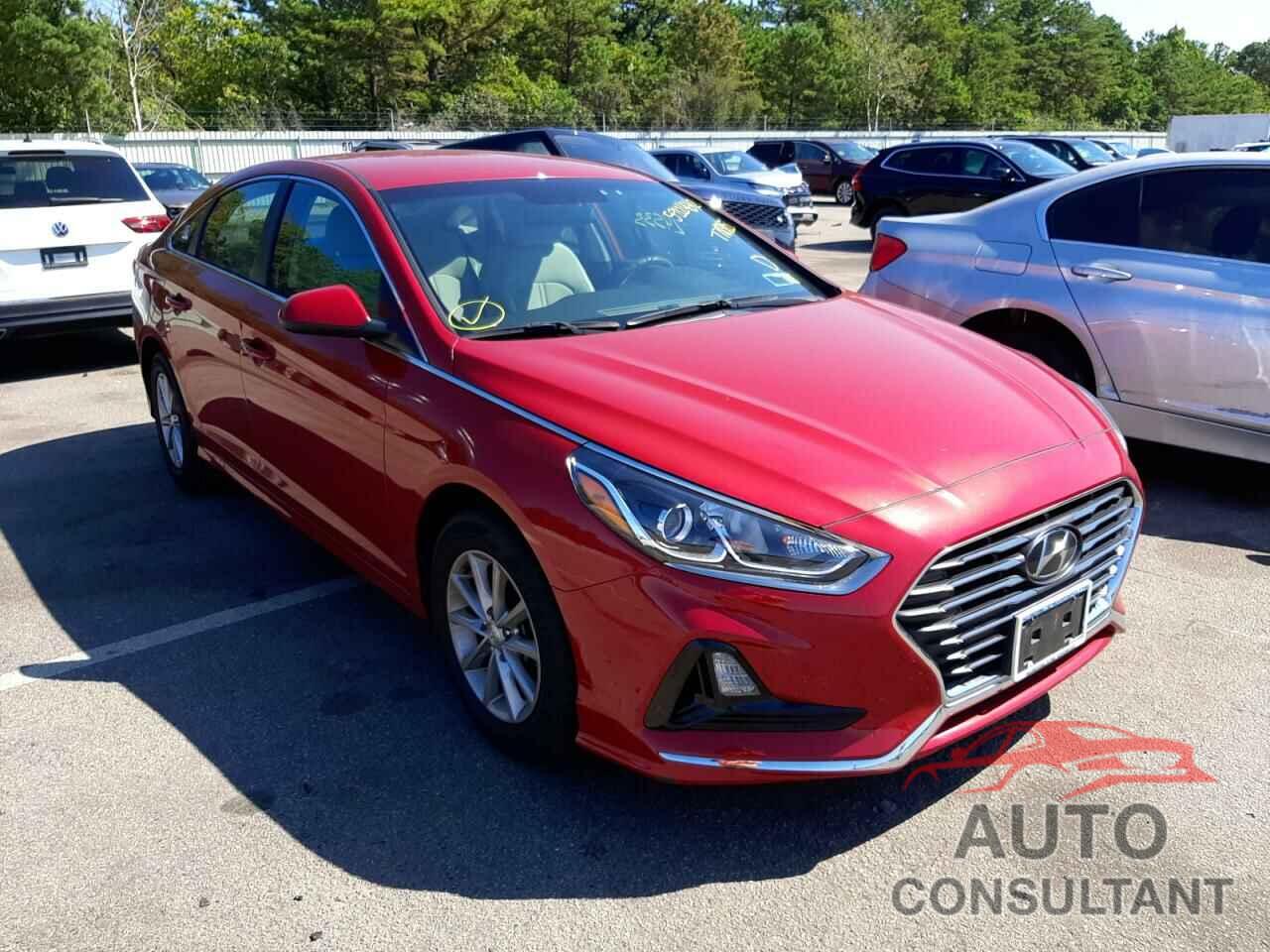 HYUNDAI SONATA 2019 - 5NPE24AF1KH778985