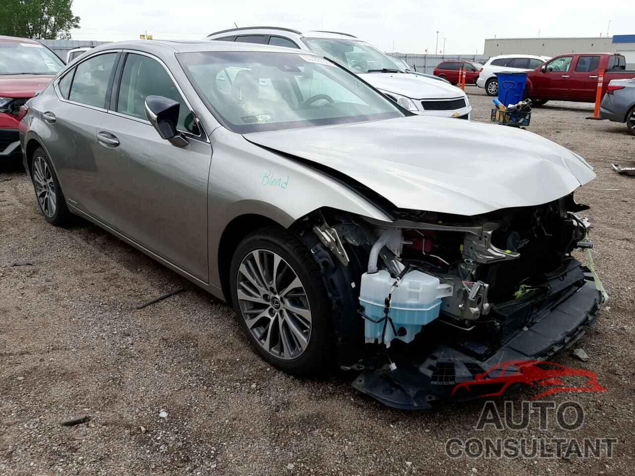 LEXUS ES300 2019 - 58AB21B17KU003024