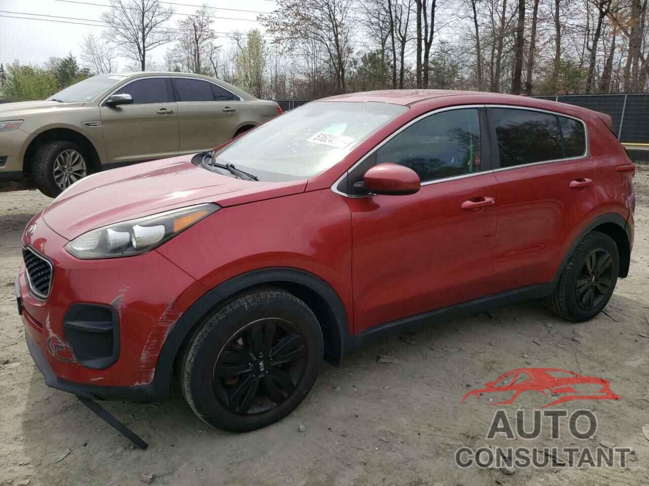 KIA SPORTAGE 2019 - KNDPM3ACXK7542441