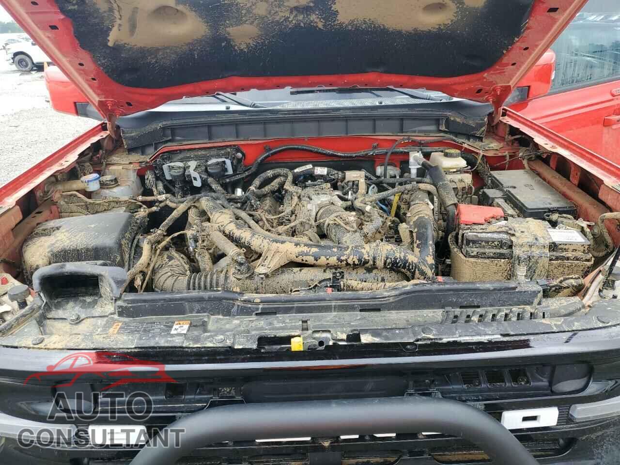 FORD BRONCO 2023 - 1FMEE5DP5PLB97182