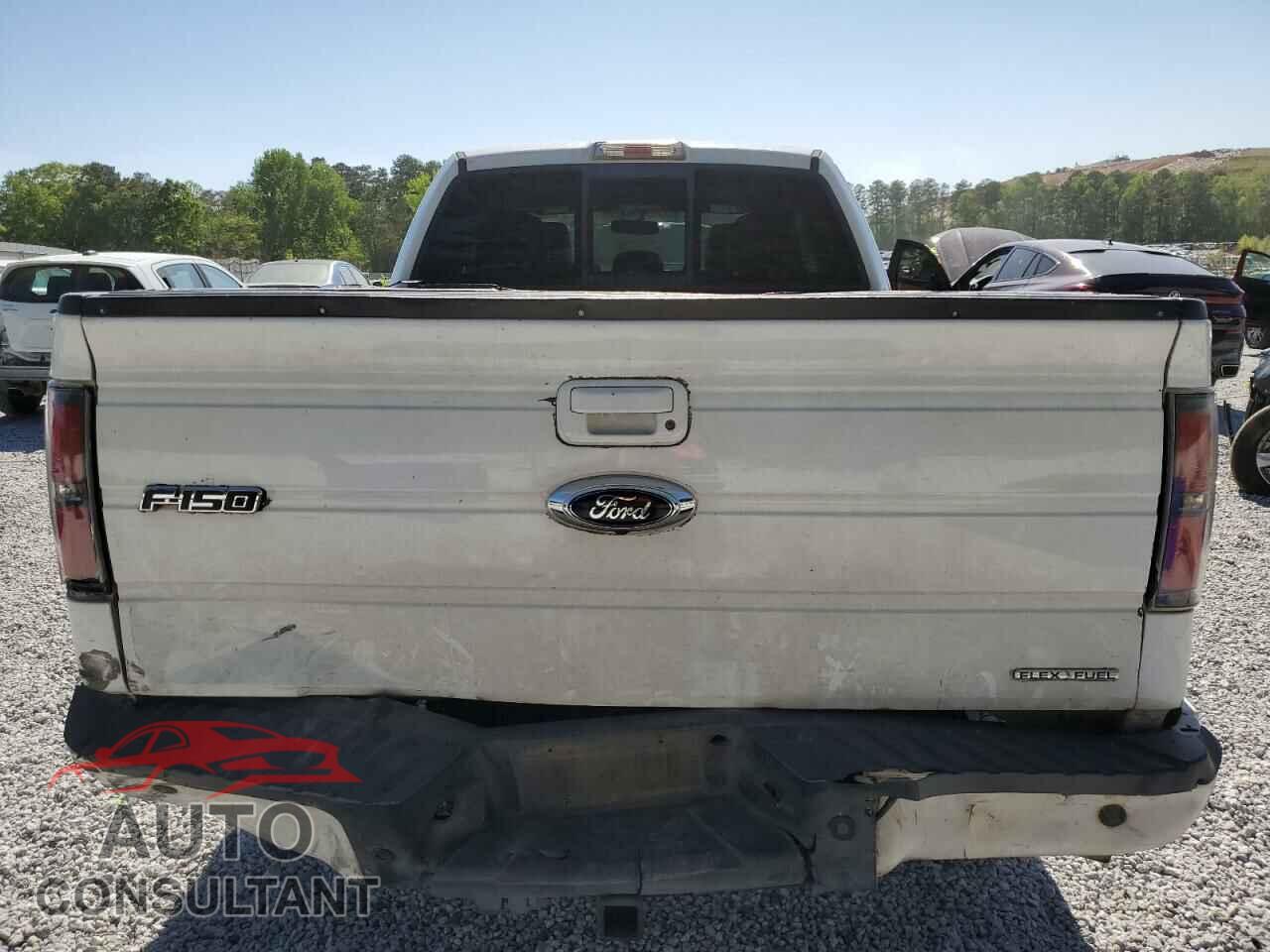 FORD F-150 2013 - 1FTFX1CF4DFA35316