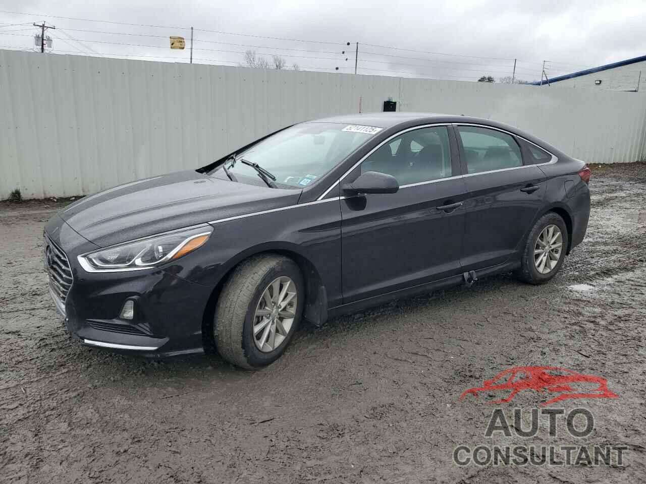 HYUNDAI SONATA 2019 - 5NPE24AF8KH806006