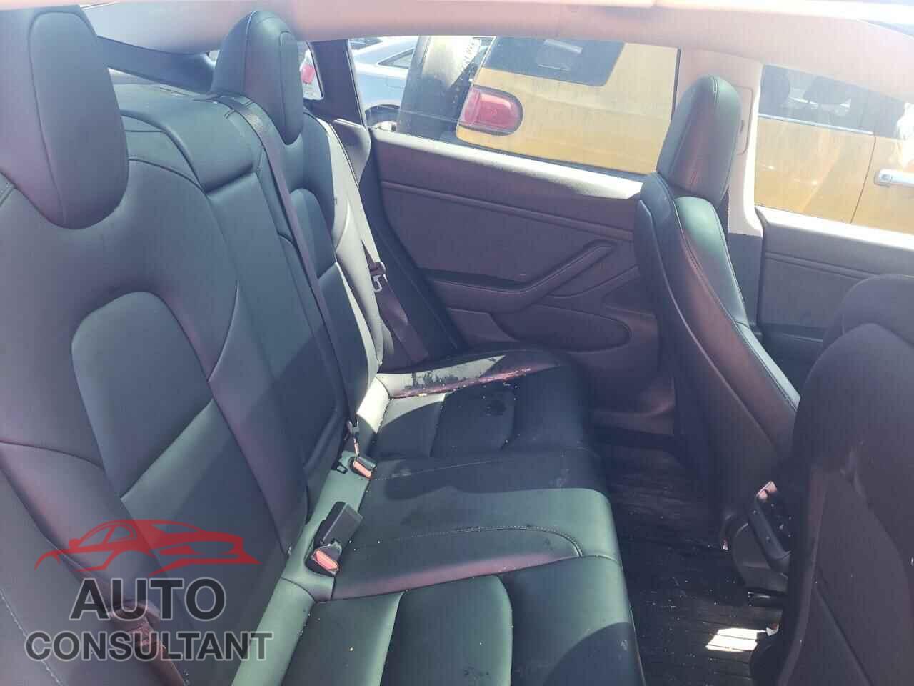 TESLA MODEL 3 2019 - 5YJ3E1EB3KF464984
