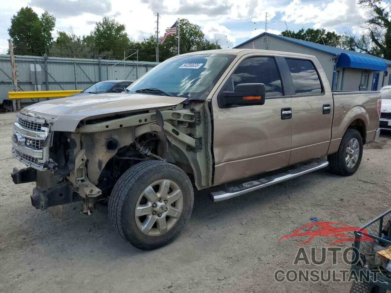 FORD F-150 2013 - 1FTFW1CF7DKF03887