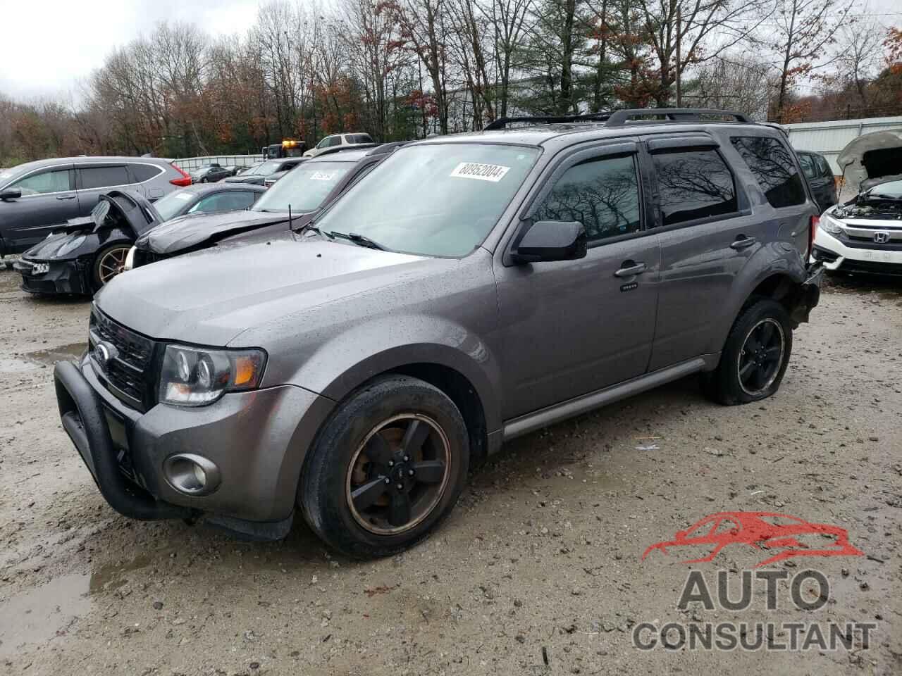 FORD ESCAPE 2011 - 1FMCU9DG2BKB69534