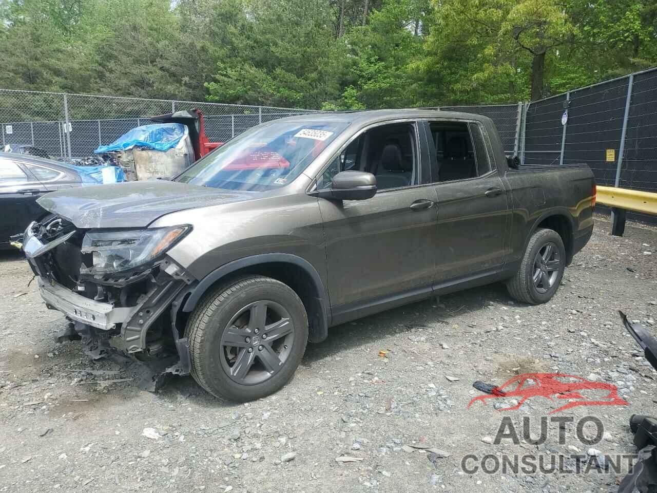 HONDA RIDGELINE 2021 - 5FPYK3F52MB016006