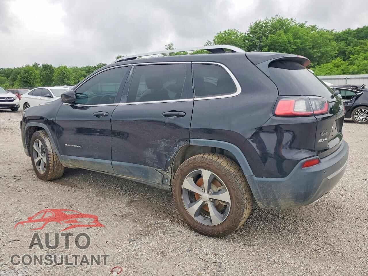 JEEP CHEROKEE 2019 - 1C4PJMDN2KD134092