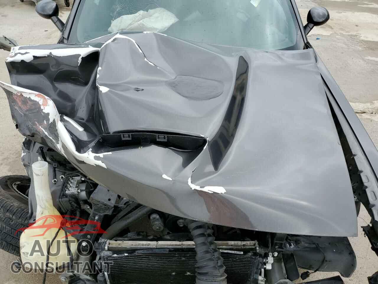 DODGE CHALLENGER 2019 - 2C3CDZAGXKH677853