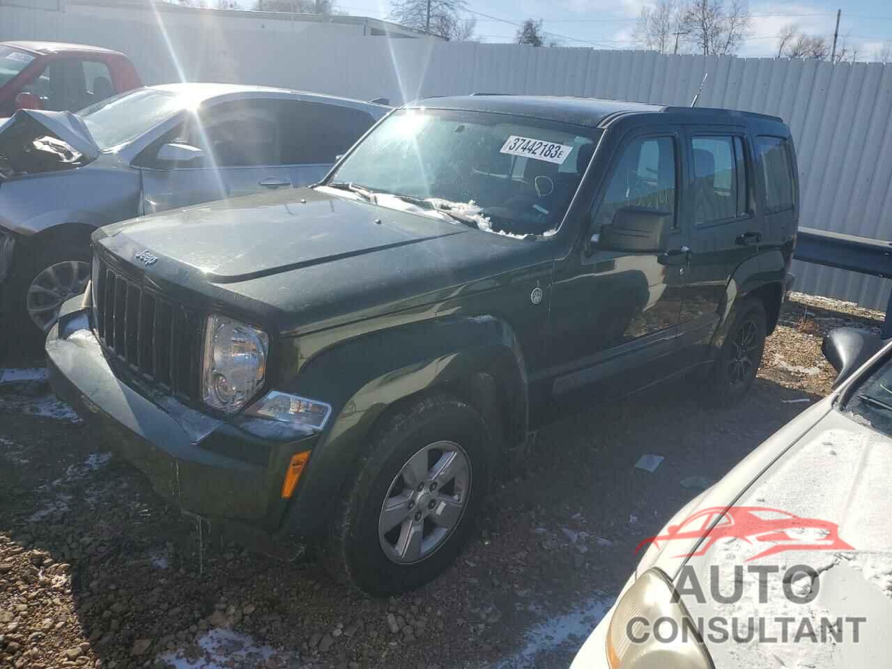 JEEP LIBERTY 2011 - 1J4PN2GK9BW523644