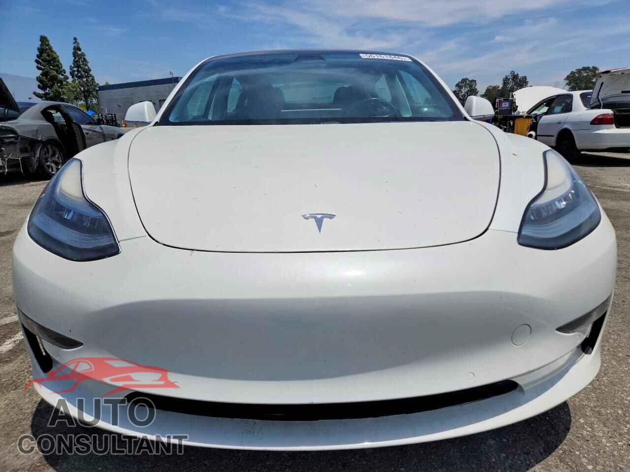 TESLA MODEL 3 2019 - 5YJ3E1EA8KF190530
