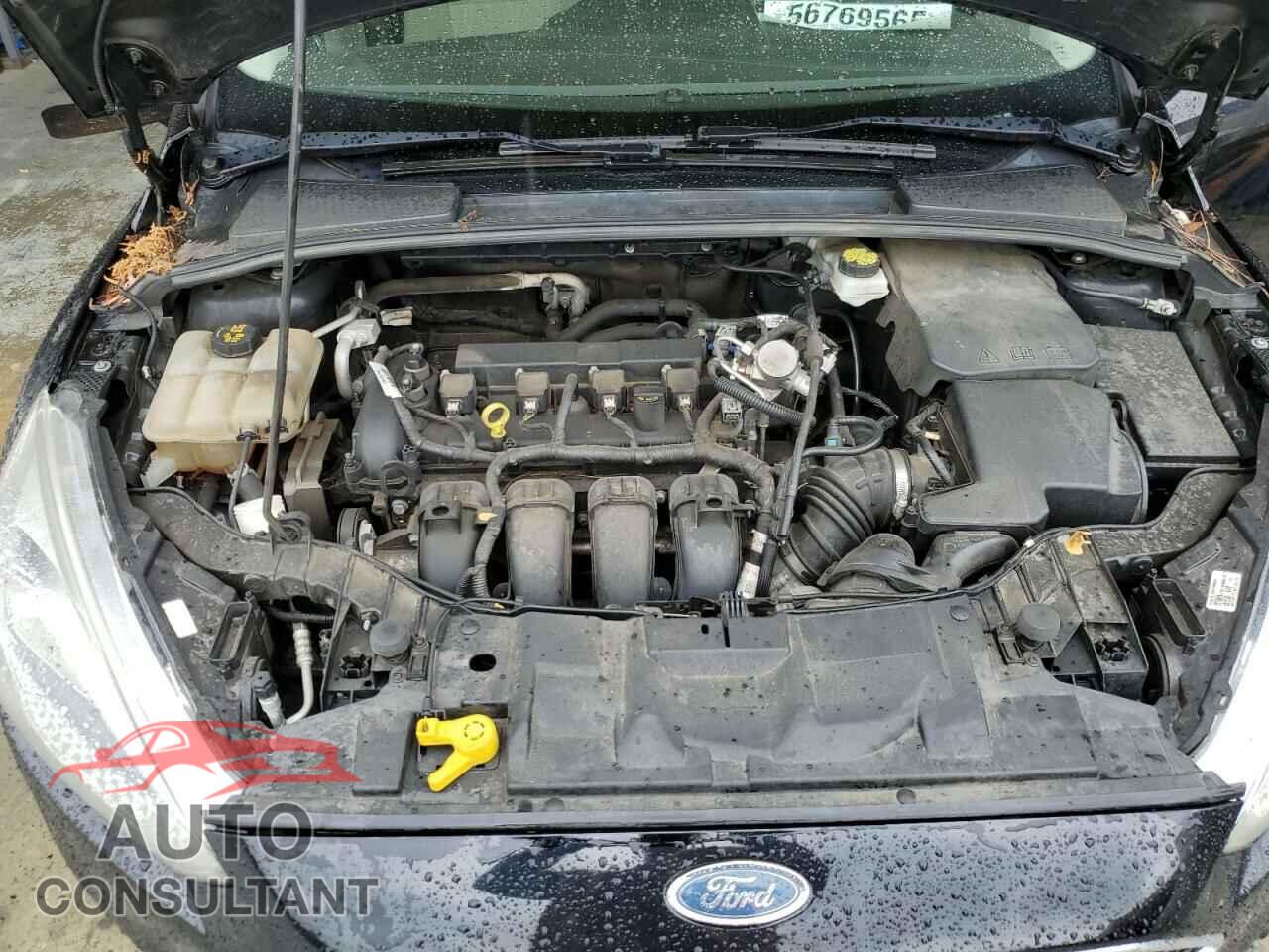 FORD FOCUS 2017 - 1FADP3F25HL232861
