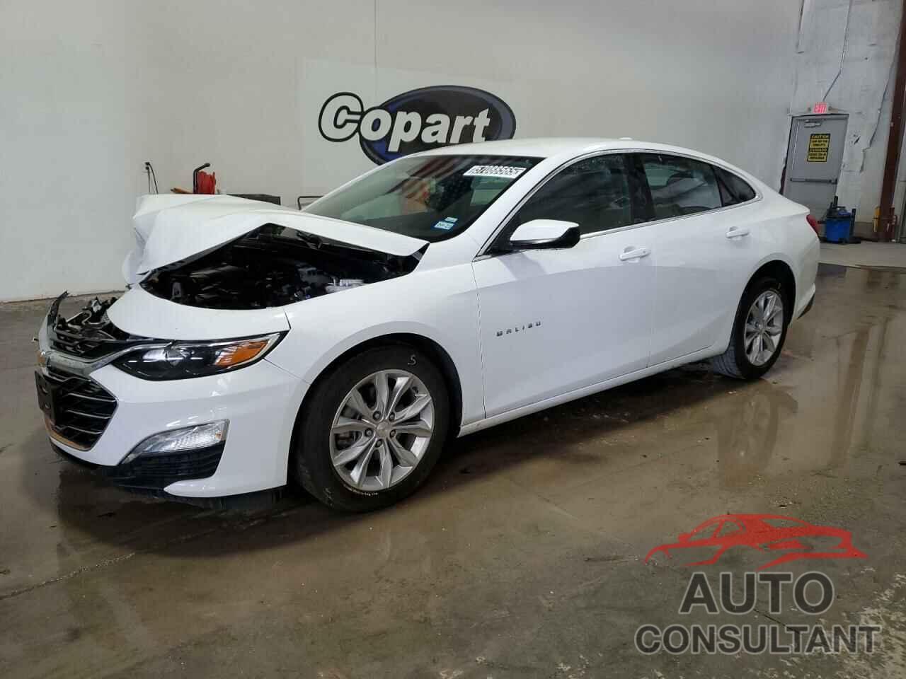 CHEVROLET MALIBU 2024 - 1G1ZD5STXRF125381