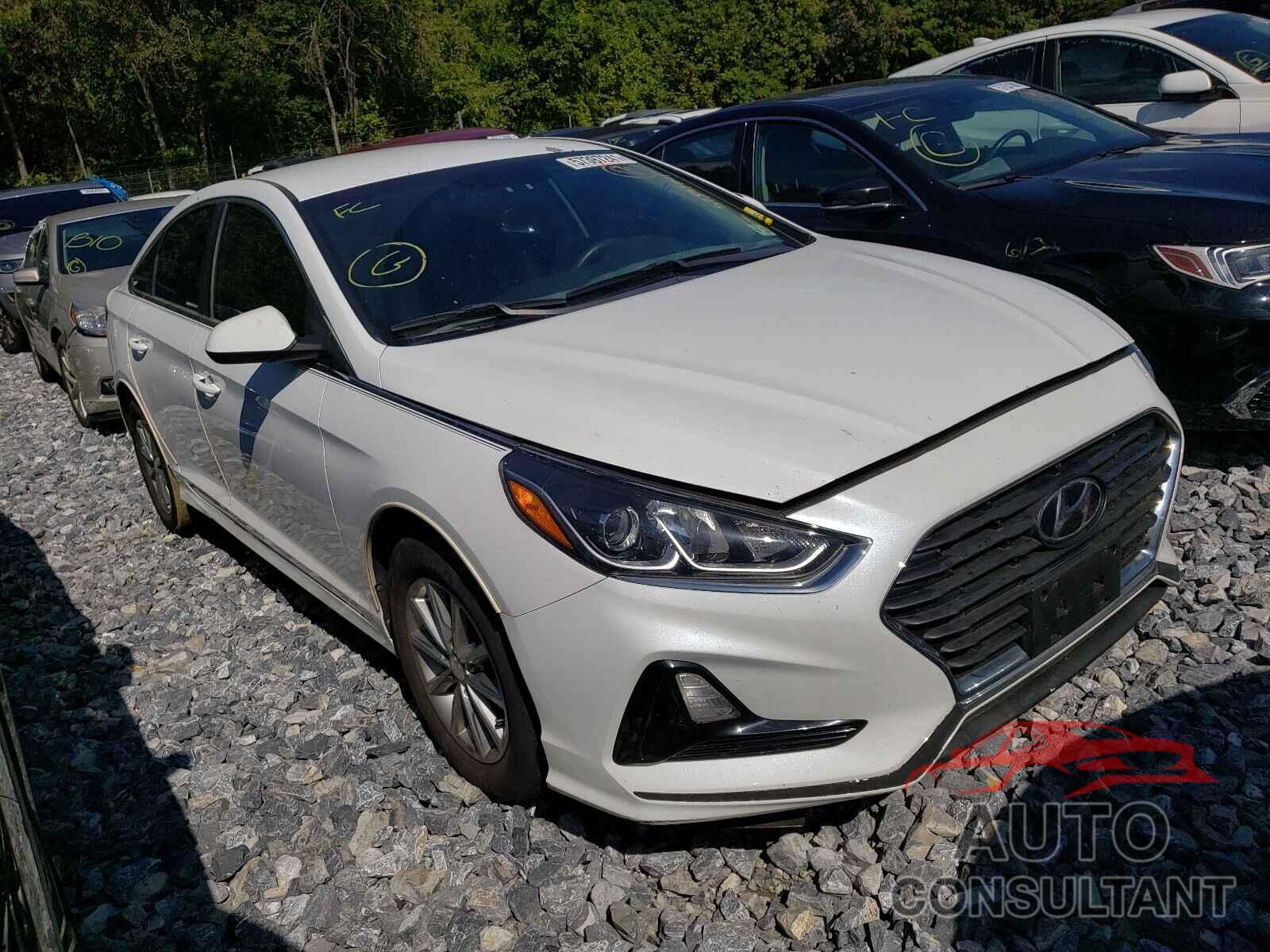 HYUNDAI SONATA 2018 - 5NPE24AF5JH621426