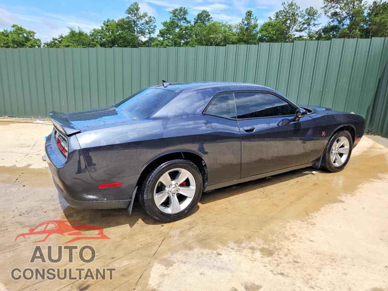 DODGE CHALLENGER 2019 - 2C3CDZAG8KH521794
