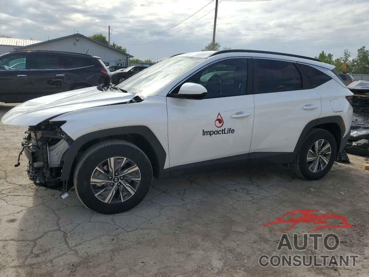 HYUNDAI TUCSON 2024 - KM8JBCD15RU194268