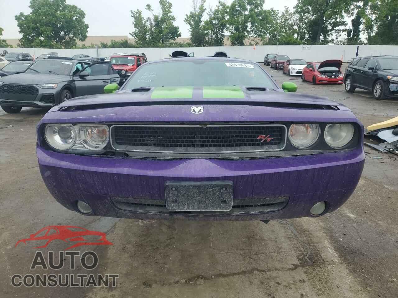 DODGE CHALLENGER 2010 - 2B3CJ5DTXAH314992