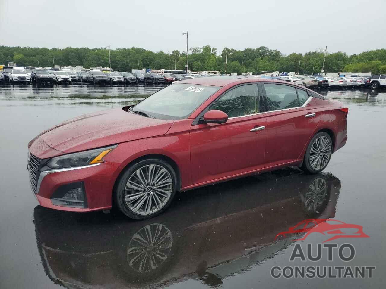 NISSAN ALTIMA 2023 - 1N4BL4EV3PN342539