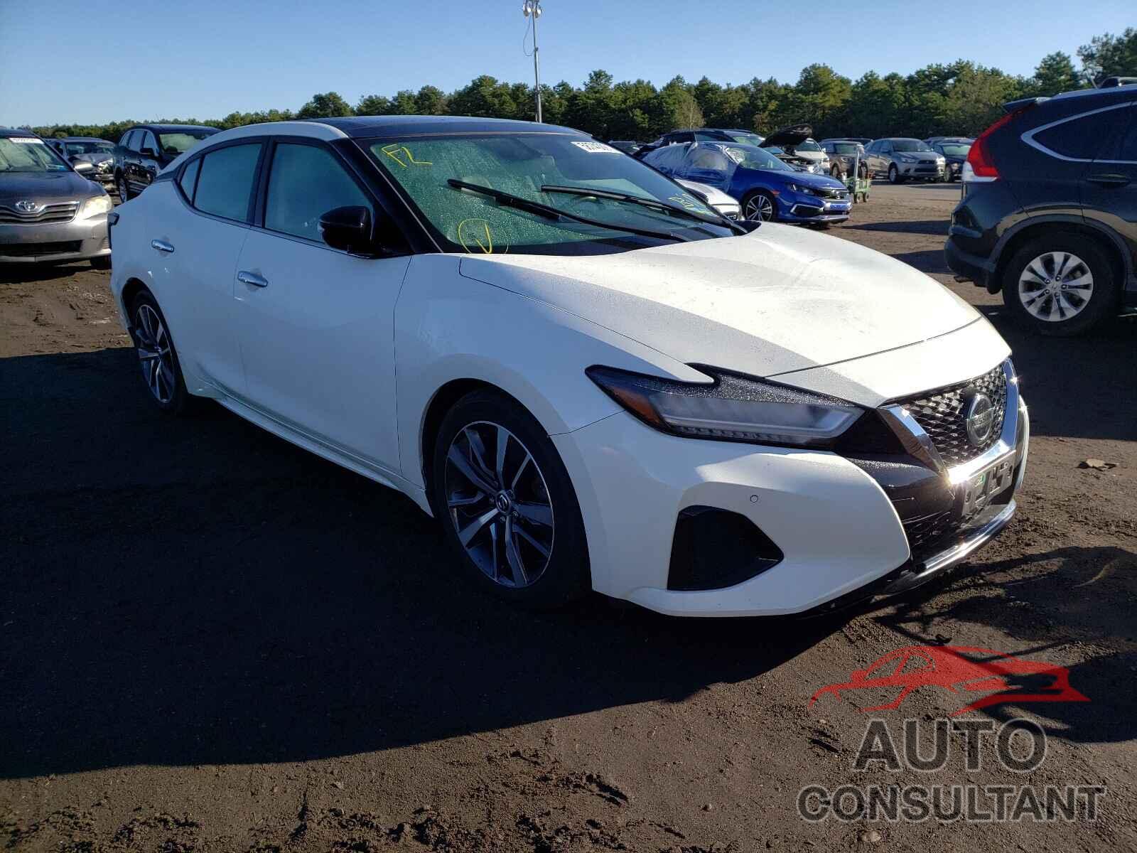 NISSAN MAXIMA 2019 - 1N4AA6AV8KC380467