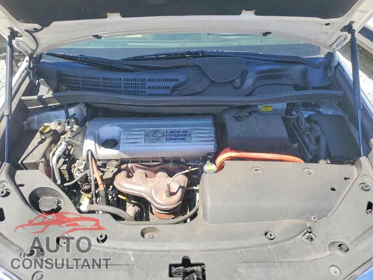 LEXUS HS 2010 - JTHBB1BA0A2007209