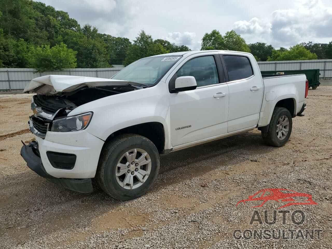 CHEVROLET COLORADO 2019 - 1GCGSCEN3K1113002
