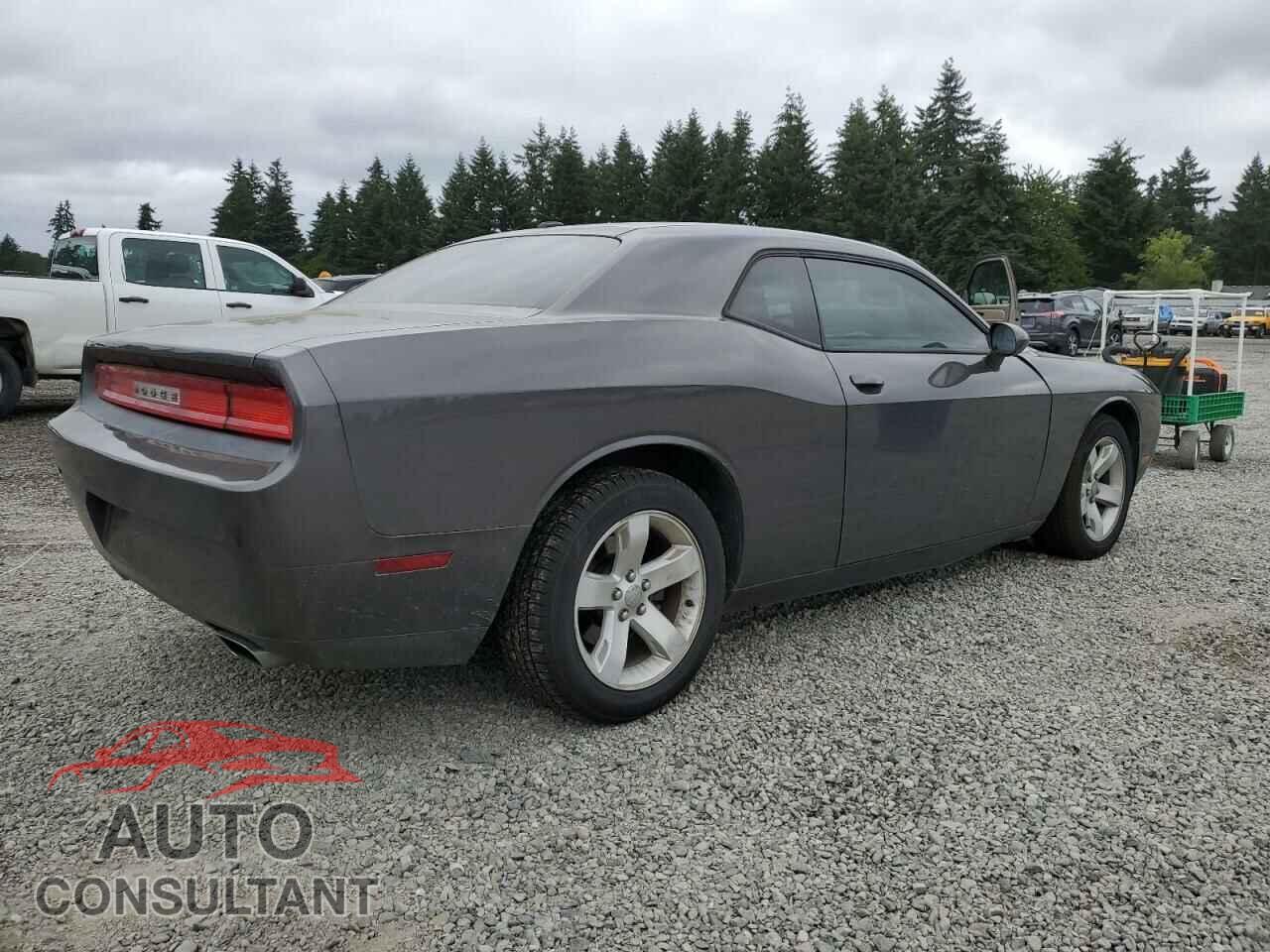 DODGE CHALLENGER 2014 - 2C3CDYAG2EH262136