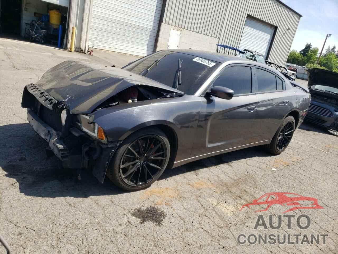 DODGE CHARGER 2014 - 2C3CDXCT7EH330516