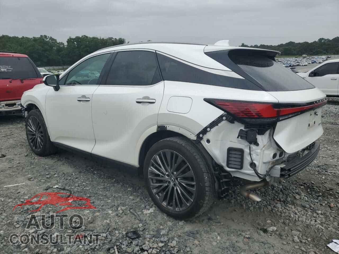 LEXUS RX350 2024 - 2T2BAMBA7RC035152