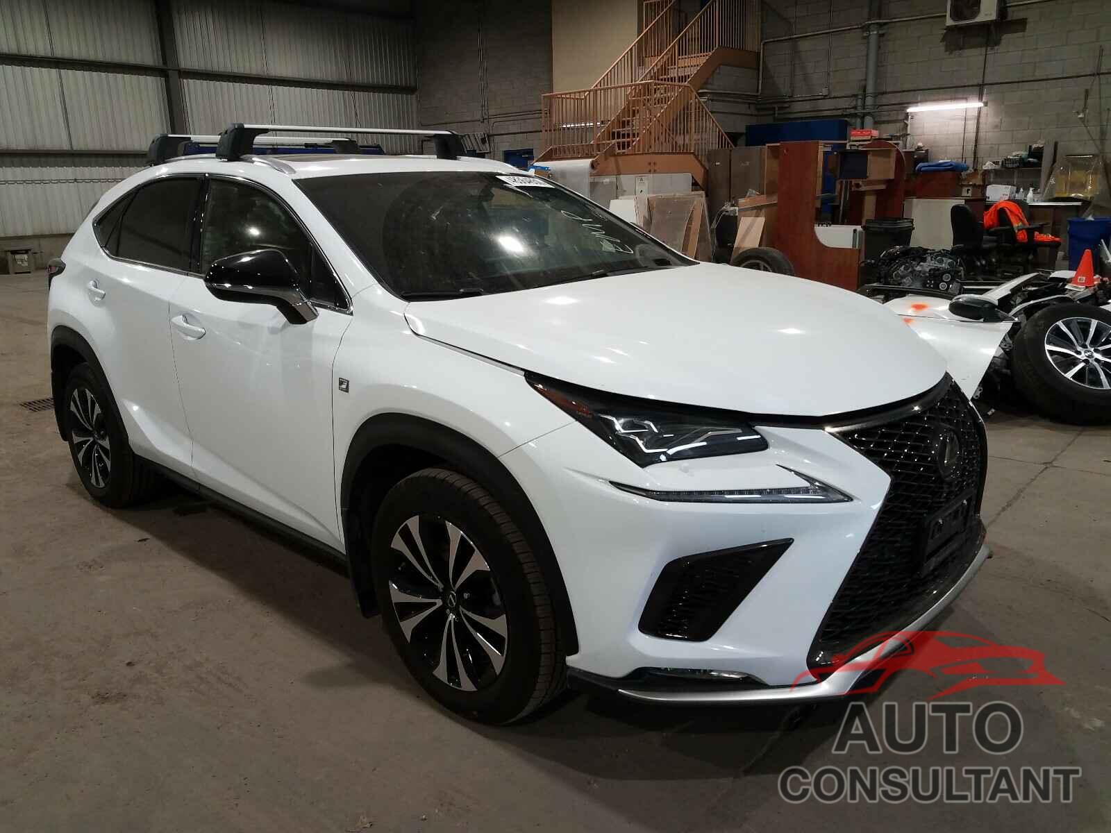 LEXUS NX 2019 - JTJBARBZ6K2212802