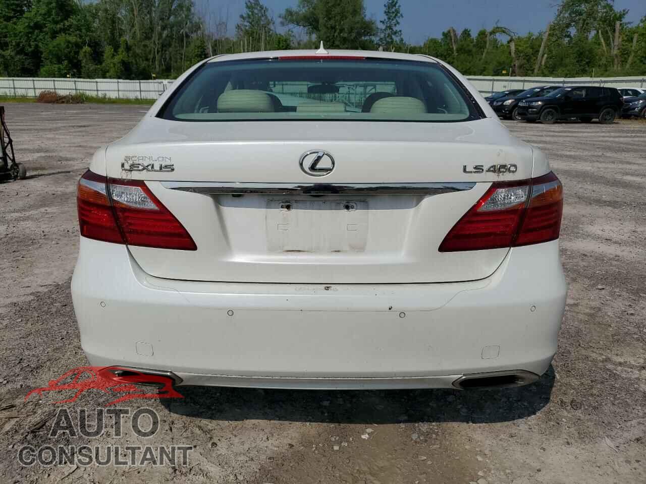 LEXUS LS460 2010 - JTHBL5EF0A5097424
