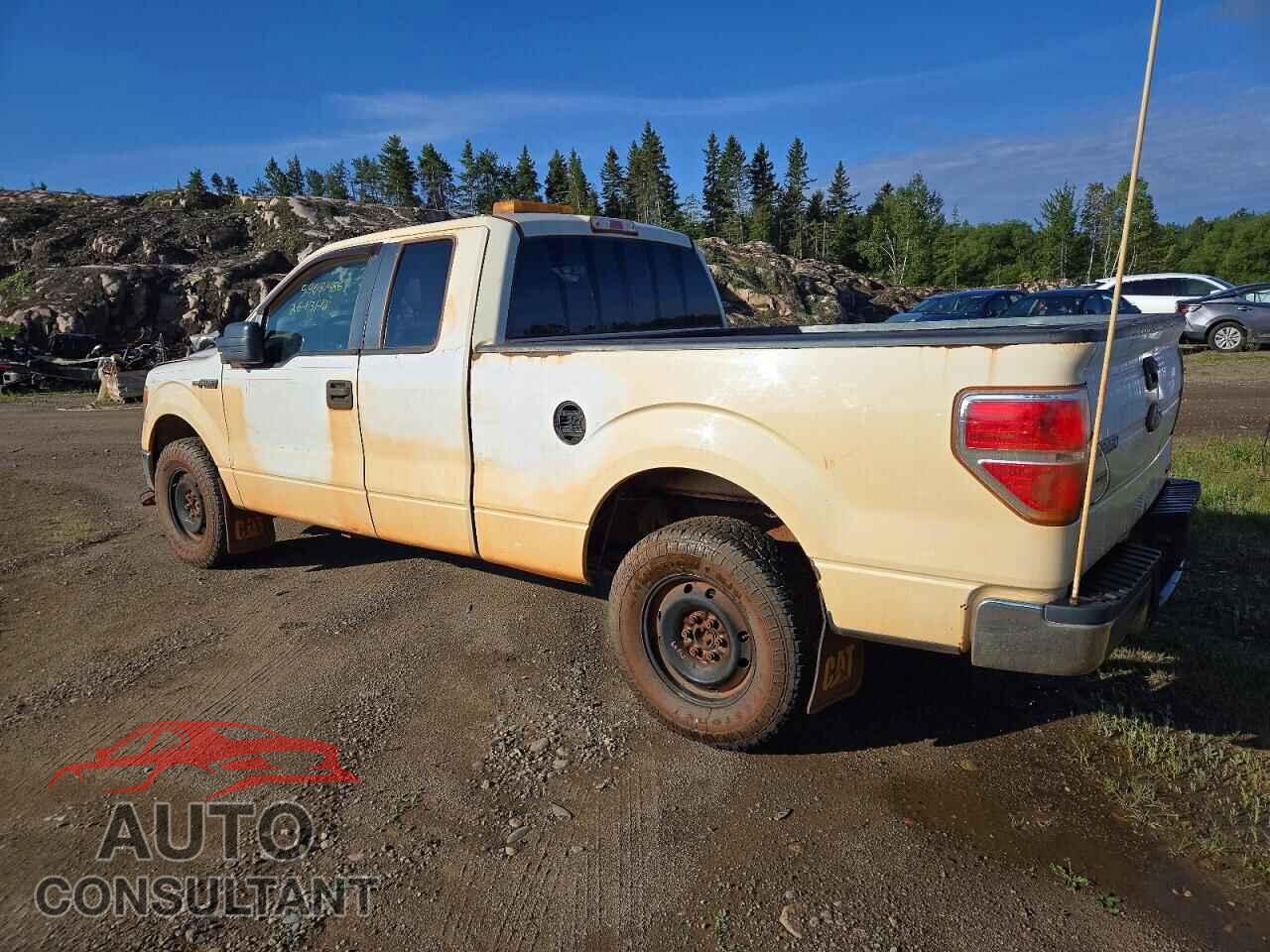 FORD F150 2012 - 1FTFX1EF0CFA15494