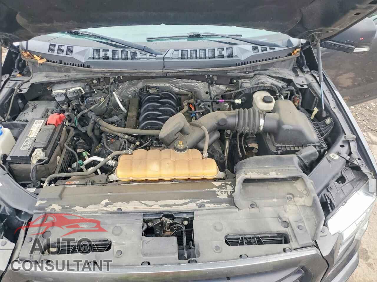 FORD F150 2017 - 1FTFW1EF7HFA44761
