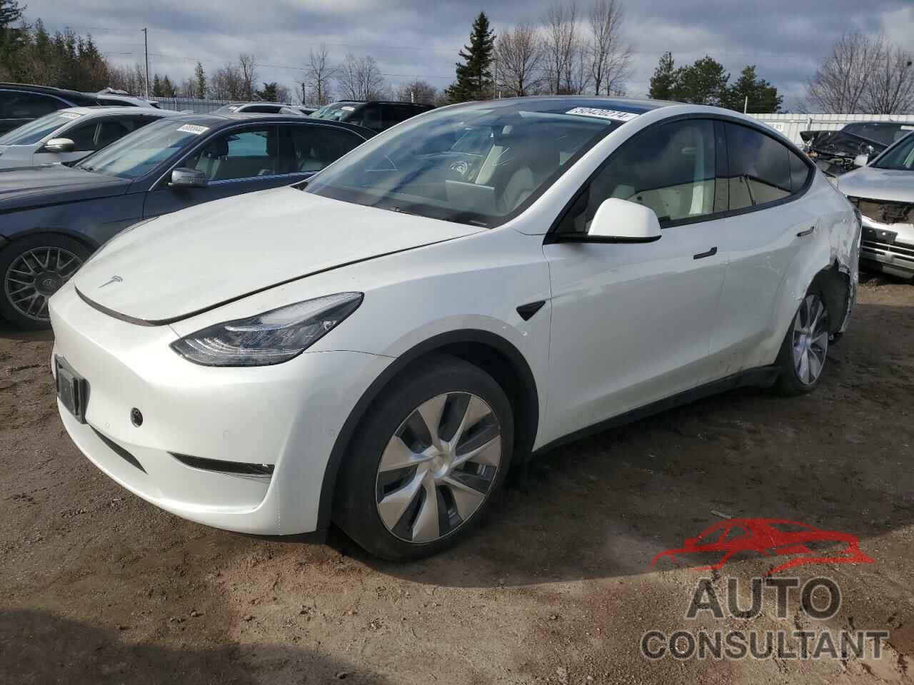 TESLA MODEL Y 2022 - 7SAYGDEE6NF358564