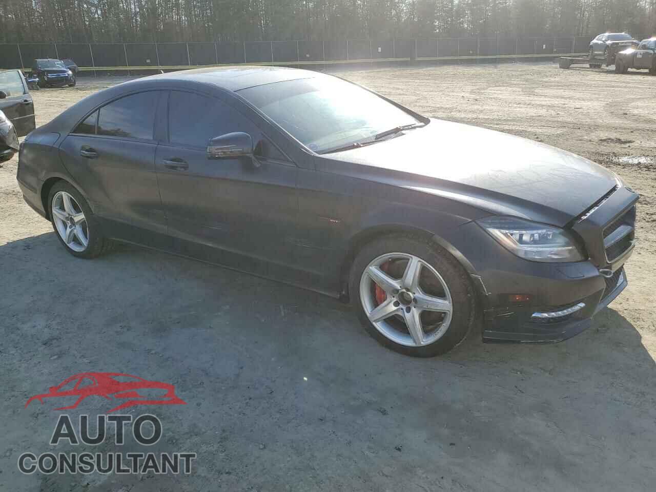 MERCEDES-BENZ CLS-CLASS 2013 - WDDLJ9BB2DA062308