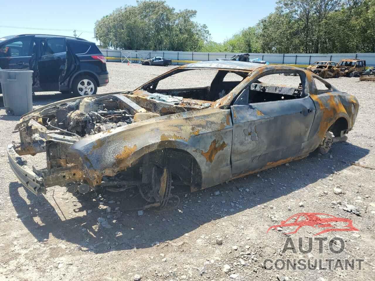 FORD MUSTANG 2013 - 1ZVBP8CF9D5260311