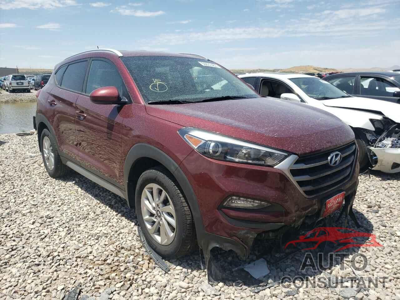 HYUNDAI TUCSON 2017 - KM8J3CA42HU334349