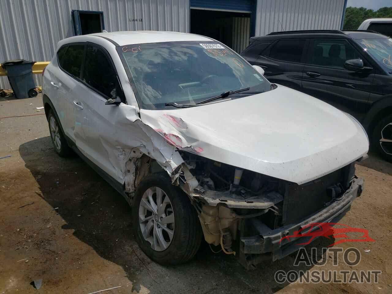 HYUNDAI TUCSON 2019 - KM8J2CA43KU875596