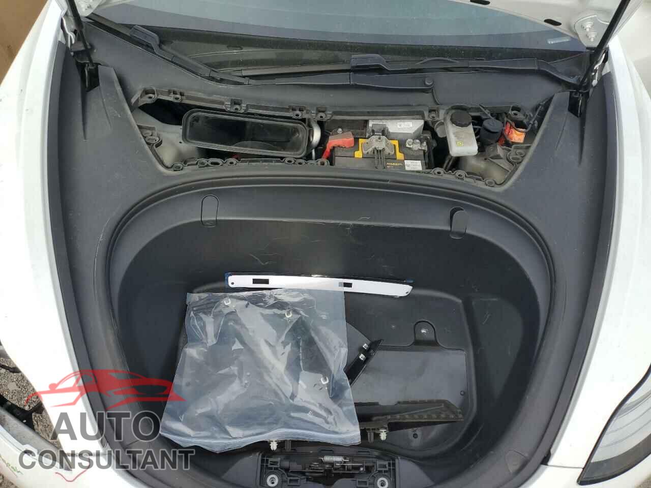 TESLA MODEL 3 2019 - 5YJ3E1EA2KF300262