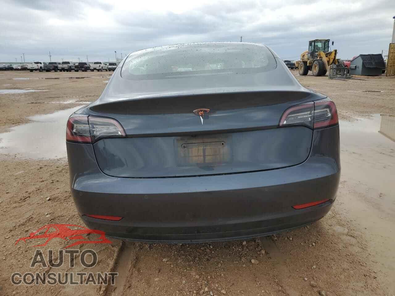 TESLA MODEL 3 2019 - 5YJ3E1EA1KF436317