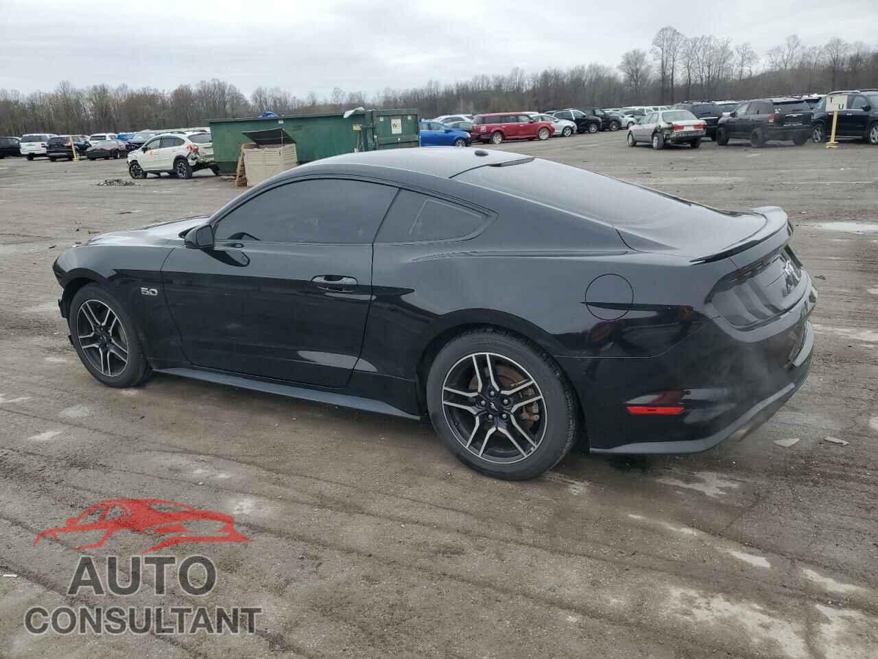 FORD MUSTANG 2019 - 1FA6P8CF1K5111835