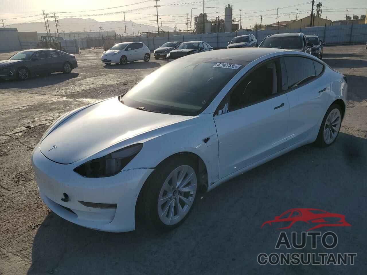 TESLA MODEL 3 2021 - 5YJ3E1EA5MF018216
